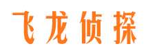 平南市侦探公司